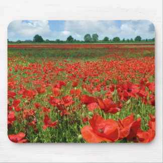 Mohnblumen-Felder Mousepad