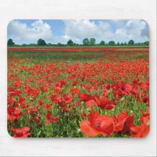 Mohnblumen-Felder Mousepad