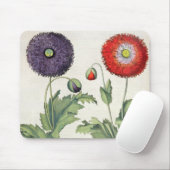 Mohnblumen: flore 1.Papaver multiplici incarnato; Mousepad (Mit Mouse)