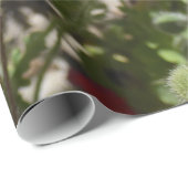 MOHNBLUMEN GESCHENKPAPIER (Rolleneckpunkt)
