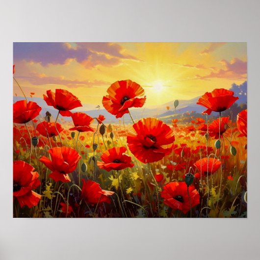 Mohnblumen im Abendlicht Poster (Vorne)
