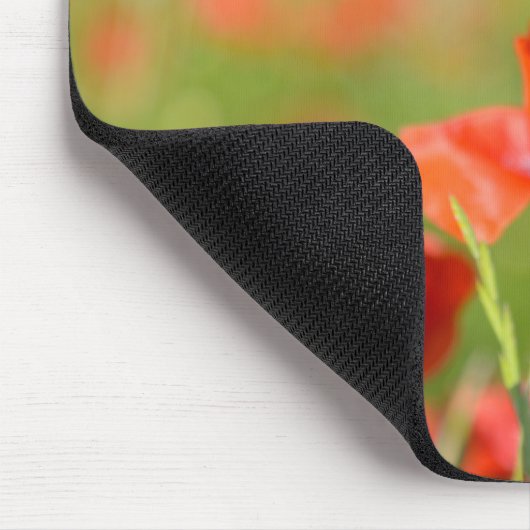 Mohnblumen in einem Mohnblumenfeld mousepad (Ecke)