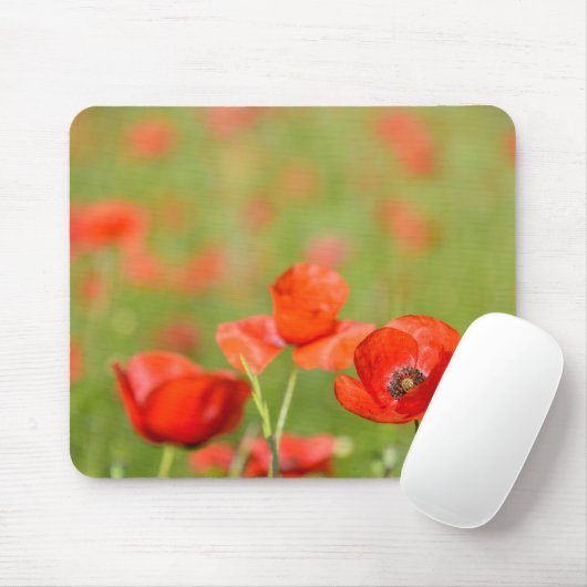 Mohnblumen in einem Mohnblumenfeld mousepad (Mit Mouse)