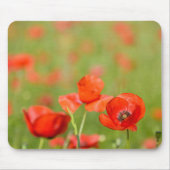 Mohnblumen in einem Mohnblumenfeld mousepad (Vorne)