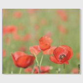 Mohnblumen in einem Mohnblumenfeld-Packpapier Geschenkpapier (Flach)