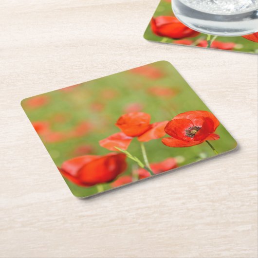 Mohnblumen in einem Mohnblumenfeld-Untersetzer Rechteckiger Pappuntersetzer (angewinkelt)