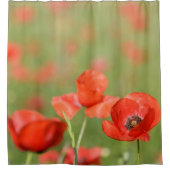 Mohnblumen in einer Mohnblume stellen Duschvorhang (Vorderseite)