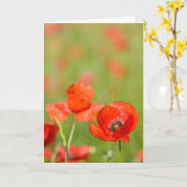 Mohnblumen in einer Mohnblumenfeld-Grußkarte Karte (Gelbe Blume)