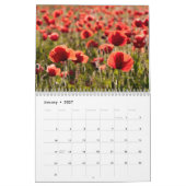 Mohnblumen in meinem Mohnblumen-Garten - Kalender (Jan 2027)