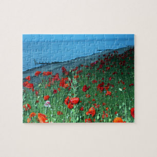Mohnblumen in Southwold Puzzle