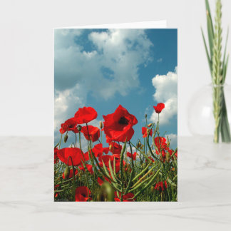 Mohnblumen Karte