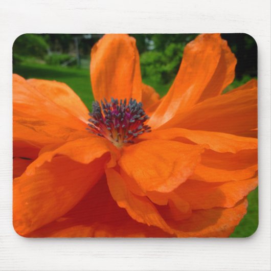 Mohnblumen-Mausunterlage Mousepad (Vorne)