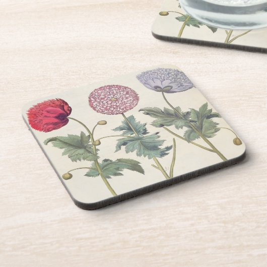 Mohnblumen: Multiplexalbumoris 1.Papaver Getränkeuntersetzer (Linke Seite)