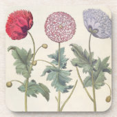 Mohnblumen: Multiplexalbumoris 1.Papaver Getränkeuntersetzer (Vorderseite)
