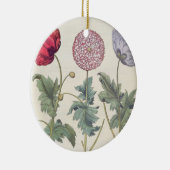 Mohnblumen: Multiplexalbumoris 1.Papaver Keramikornament (Rechts)