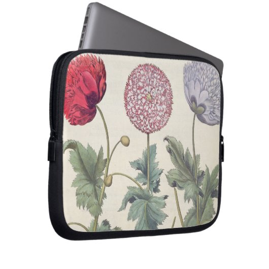 Mohnblumen: Multiplexalbumoris 1.Papaver Laptopschutzhülle (Vorne Rechts)