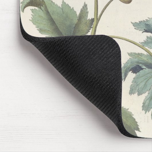 Mohnblumen: Multiplexalbumoris 1.Papaver Mousepad (Ecke)