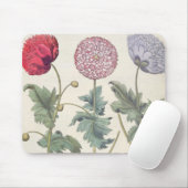 Mohnblumen: Multiplexalbumoris 1.Papaver Mousepad (Mit Mouse)