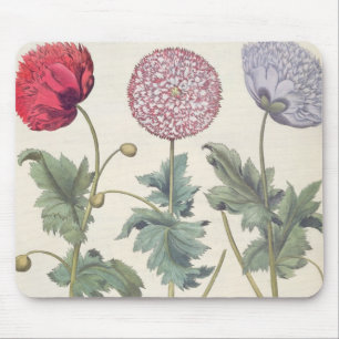 Mohnblumen: Multiplexalbumoris 1.Papaver Mousepad