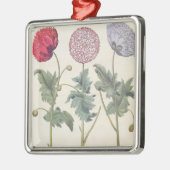 Mohnblumen: Multiplexalbumoris 1.Papaver Ornament Aus Metall (Links)