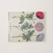 Mohnblumen: Multiplexalbumoris 1.Papaver Puzzle (Horizontal)