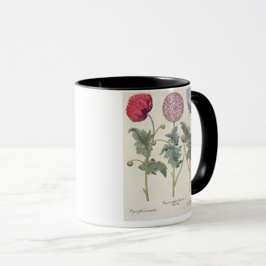 Mohnblumen: Multiplexalbumoris 1.Papaver Tasse (VorderseiteRechts)