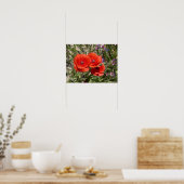 MOHNBLUMEN POSTER (Küche)