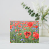 Mohnblumen Postkarte (Stehend Vorderseite)