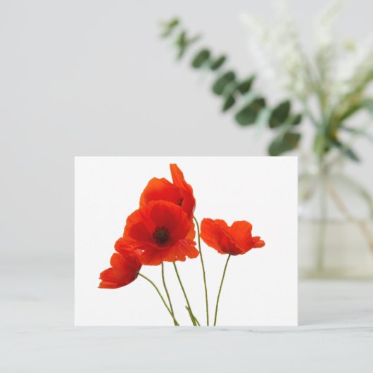 Mohnblumen Postkarte (Stehend Vorderseite)