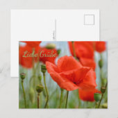 Mohnblumen Postkarte (Vorne/Hinten)