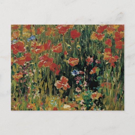 Mohnblumen Postkarte (Vorderseite)