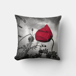 Mohnblumen-Rebe-Glauben-Hoffnungs-Liebe, die Kissen