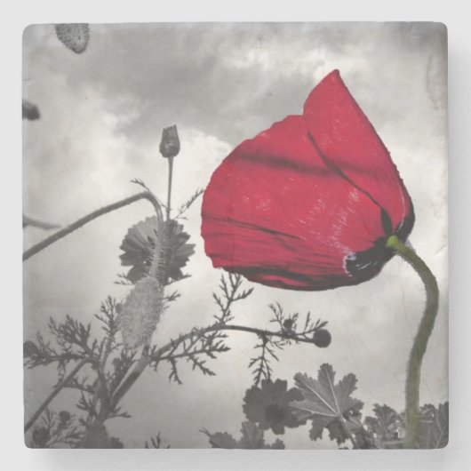 Mohnblumen-Rebe-Glauben-Hoffnungs-Liebe, die Steinuntersetzer (Vorderseite)
