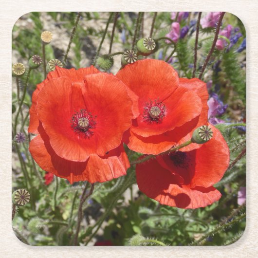 MOHNBLUMEN RECHTECKIGER PAPPUNTERSETZER (Vorderseite)