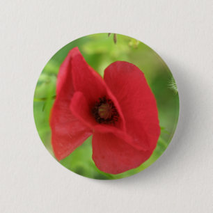 Mohnblumen-Rot Button