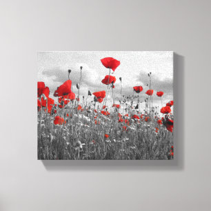 Mohnblumen Schwarzes, Weiß und Rot Leinwanddruck