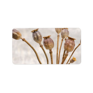 Mohnblumen-Stroh-Hülsen Adressaufkleber