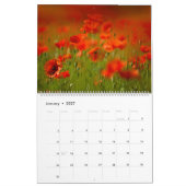 Mohnblumen-Träume Kalender (Jan 2027)
