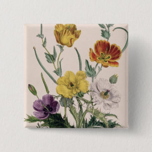 Mohnblumen und Anemonen Button