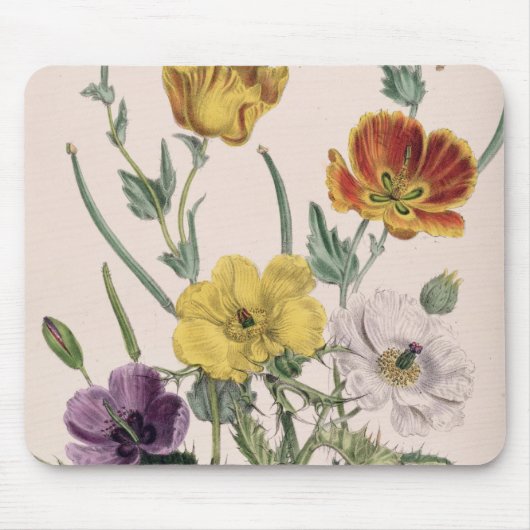 Mohnblumen und Anemonen Mousepad (Vorne)