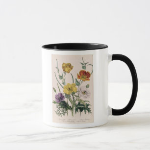 Mohnblumen und Anemonen Tasse