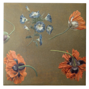 Mohnblumen und Tradascanthus (Öl auf Leinwand) Fliese