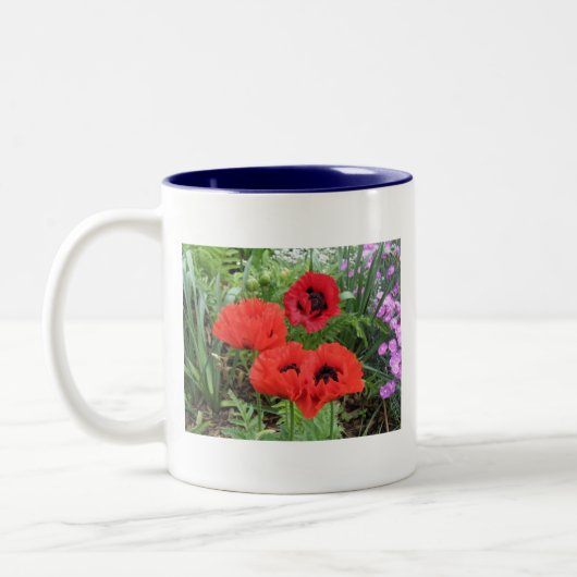 MOHNBLUMEN! ZWEIFARBIGE TASSE (Links)