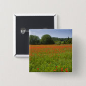 Mohnblumenfeld, Chiusi, Italien Button (Vorne & Hinten)