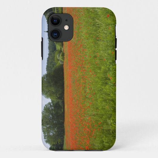 Mohnblumenfeld, Chiusi, Italien Case-Mate iPhone Hülle (Rückseite)