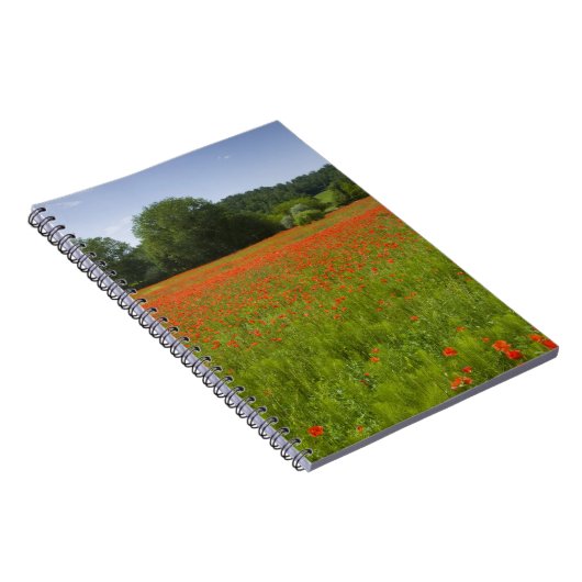 Mohnblumenfeld, Chiusi, Italien Notizblock (Rechte Seite)