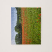 Mohnblumenfeld, Chiusi, Italien Puzzle (Vertikal)