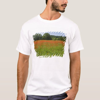 Mohnblumenfeld, Chiusi, Italien T-Shirt