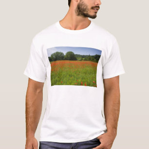 Mohnblumenfeld, Chiusi, Italien T-Shirt