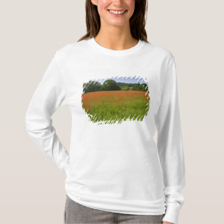 Mohnblumenfeld, Chiusi, Italien T-Shirt
